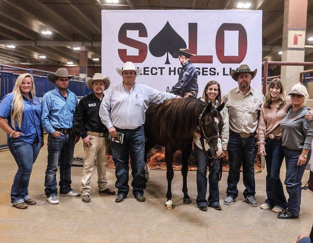 The Solo Select team gathered with a horse under the Solo Select Horses banner at a sale